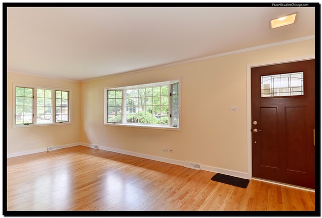 595 E Park Ave, Elmhurst, IL 60126 photo 3