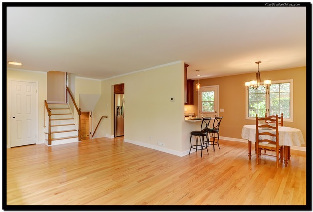 595 E Park Ave, Elmhurst, IL 60126 photo 2