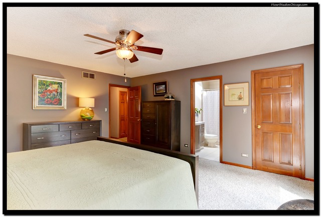 406 Brad Ct, Naperville, IL 60565 photo 11