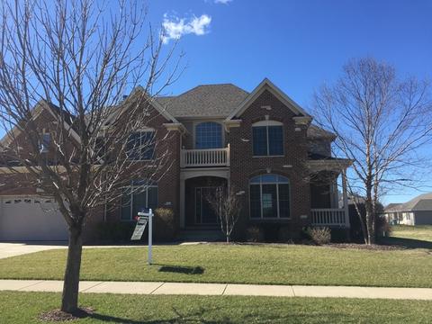 15702 Brookshore Dr, Plainfield, IL 60544 photo 1