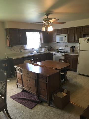 921 E Forest Ave, Des Plaines, IL 60018 photo 6