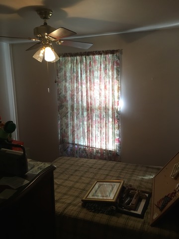 921 E Forest Ave, Des Plaines, IL 60018 photo 13