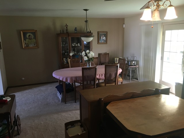 921 E Forest Ave, Des Plaines, IL 60018 photo 8