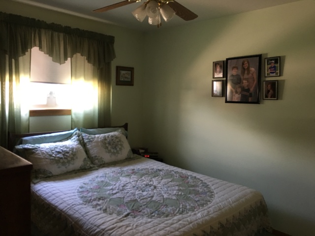 8201 S Tripp Ave, Chicago, IL 60652 photo 8