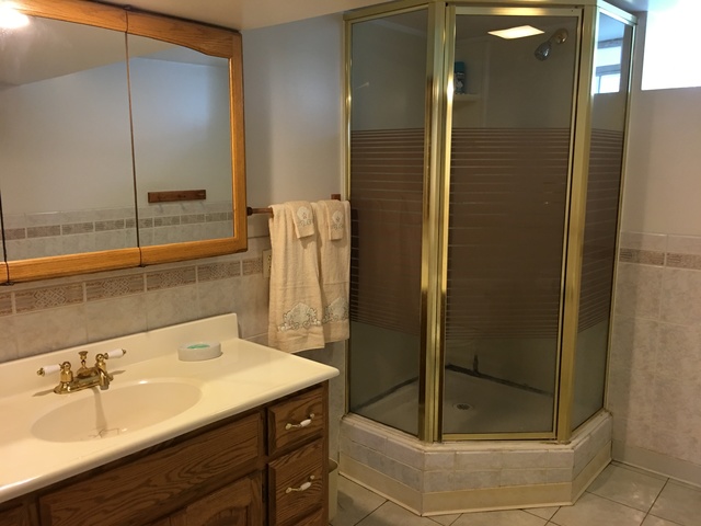 8201 S Tripp Ave, Chicago, IL 60652 photo 11