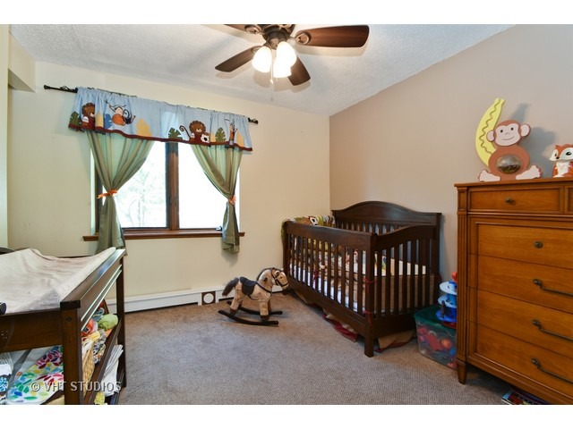 11042 3rd St, Mokena, IL 60448 photo 11