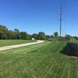 209 Wilcox Dr, Bartlett, IL 60103 photo 19