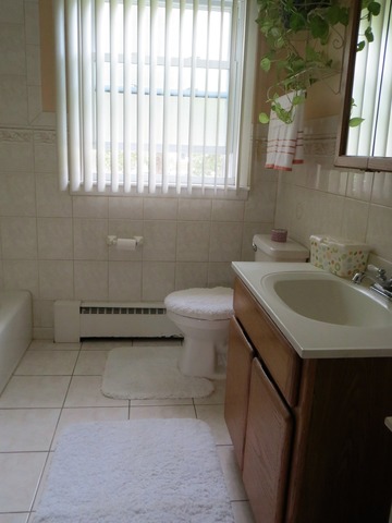 17910 Walter St, Lansing, IL 60438 photo 15