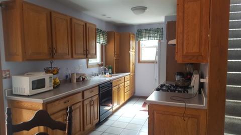 313 S Weston Ave, Elgin, IL 60123 photo 4