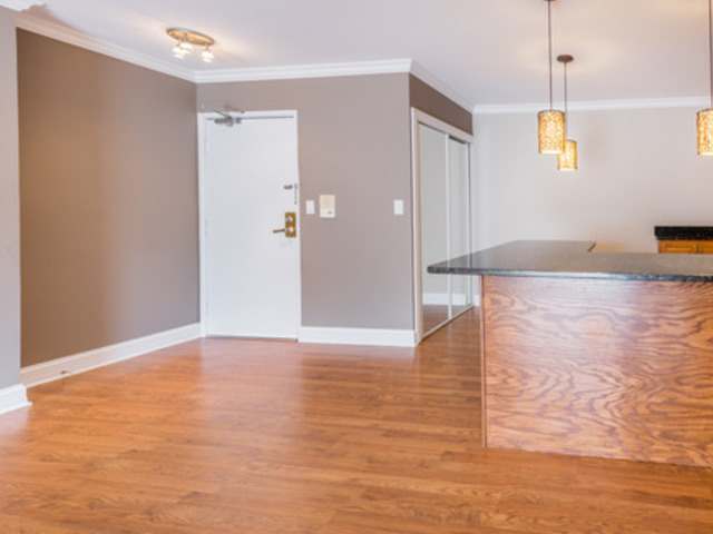 1459 N Winslowe Dr #302, Palatine, IL 60074 photo 9