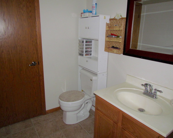 1501 Pheasant Run Rd, Harvard, IL 60033 photo 10