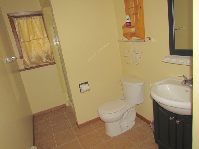 1501 Pheasant Run Rd, Harvard, IL 60033 photo 16