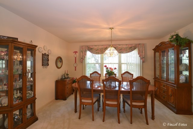 529 Shagbark Dr, Elgin, IL 60123 photo 7