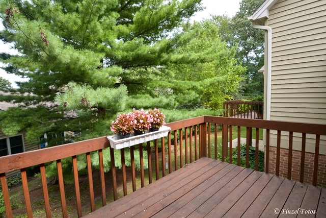529 Shagbark Dr, Elgin, IL 60123 photo 24