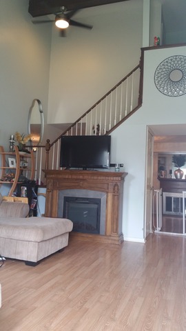 1010 Wesley Ln, Algonquin, IL 60102 photo 4