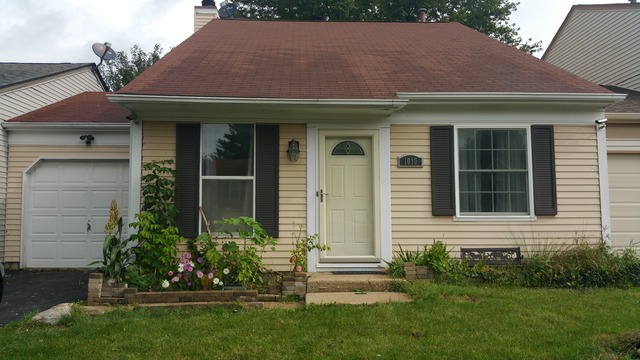 1010 Wesley Ln, Algonquin, IL 60102 photo 1