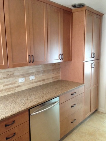 934 E Forest Ave, Des Plaines, IL 60018 photo 6