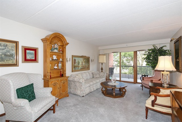 1600 E Thacker St #209, Des Plaines, IL 60016 photo 3