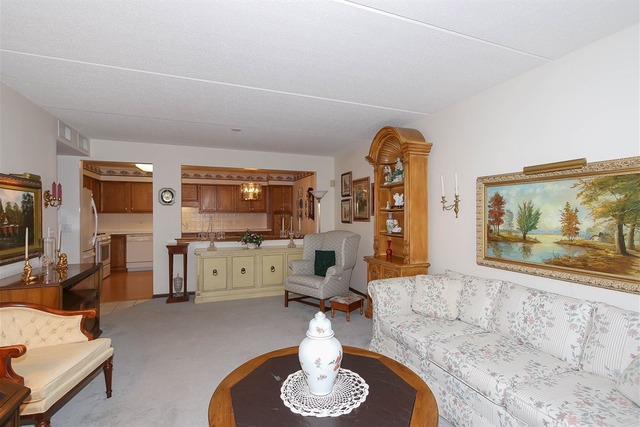 1600 E Thacker St #209, Des Plaines, IL 60016 photo 4