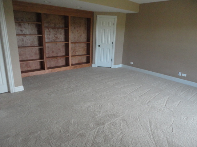 6519 Burning Tree Cir, Mchenry, IL 60050 photo 24