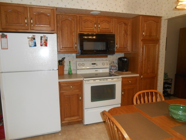 103 Crabapple Ln, Morris, IL 60450 photo 7