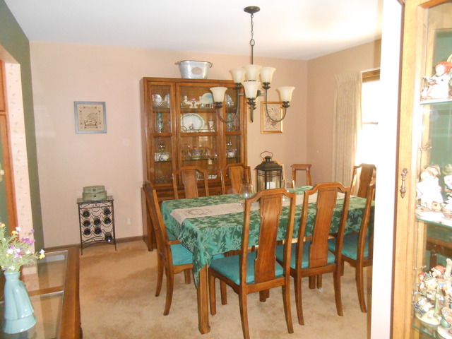 103 Crabapple Ln, Morris, IL 60450 photo 5