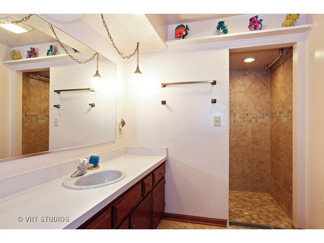 14151 Ashley Rd, Minooka, IL 60447 photo 13