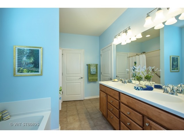 2847 Cascade Falls Cir, Elgin, IL 60124 photo 9