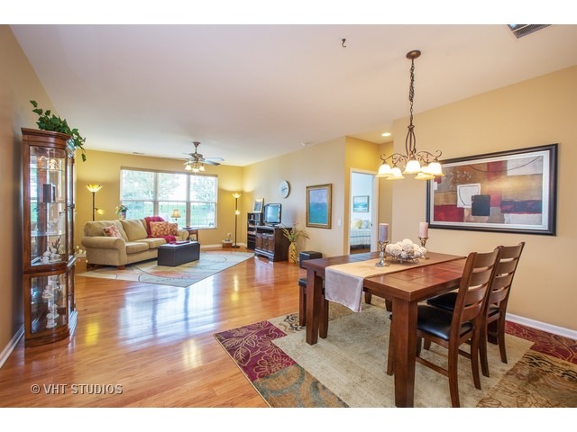 2847 Cascade Falls Cir, Elgin, IL 60124 photo 4