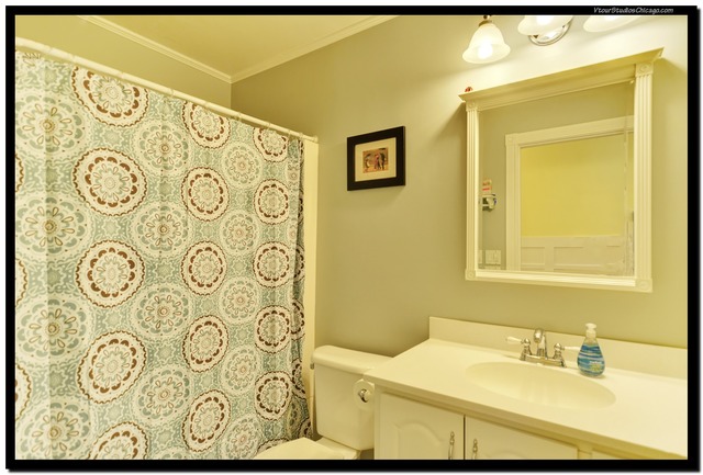 1432 Willcrest Rd, Naperville, IL 60540 photo 20