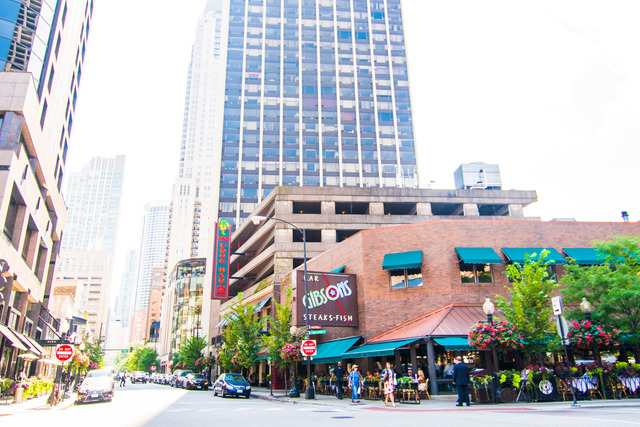 73 Elm St #10D, Chicago, IL 60611 photo 19
