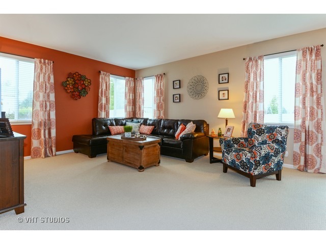 12920 Parterre Pl, Plainfield, IL 60585 photo 6