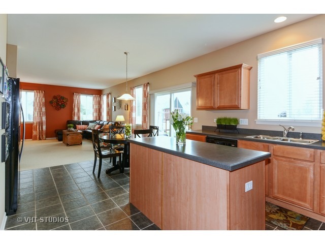 12920 Parterre Pl, Plainfield, IL 60585 photo 4