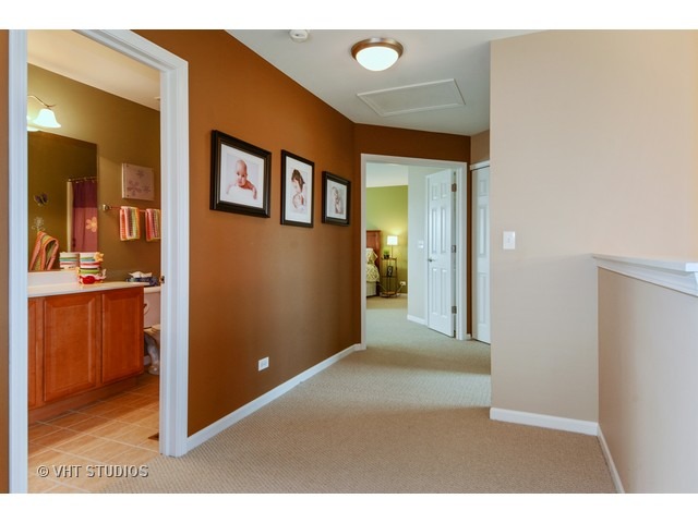 12920 Parterre Pl, Plainfield, IL 60585 photo 17