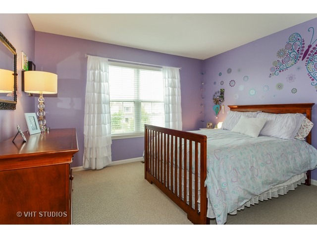12920 Parterre Pl, Plainfield, IL 60585 photo 13