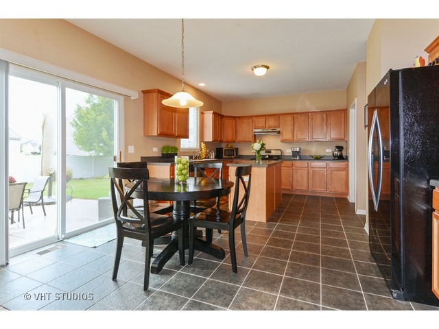 12920 Parterre Pl, Plainfield, IL 60585 photo 2