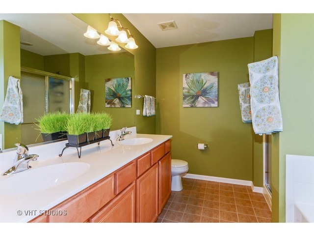 12920 Parterre Pl, Plainfield, IL 60585 photo 12