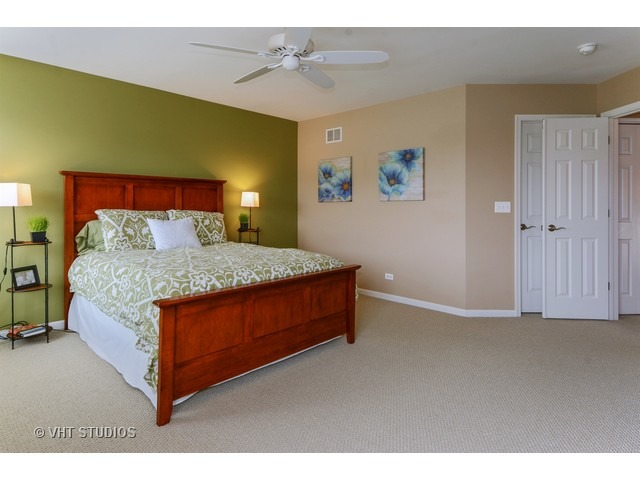12920 Parterre Pl, Plainfield, IL 60585 photo 11
