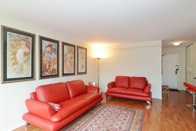 222 E Pearson St #2104, Chicago, IL 60611 photo 3