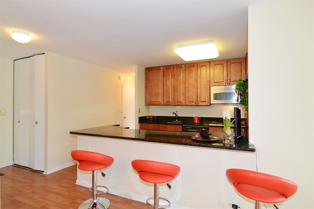 222 E Pearson St #2104, Chicago, IL 60611 photo 5