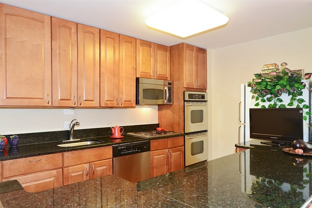 222 E Pearson St #2104, Chicago, IL 60611 photo 4