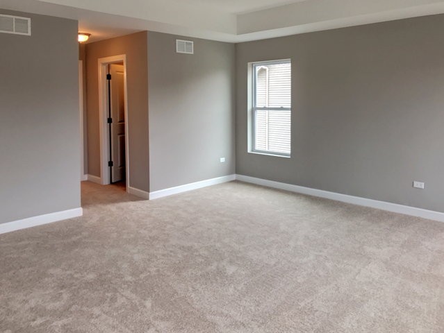 12812 Tipperary Ln, Plainfield, IL 60585 photo 13