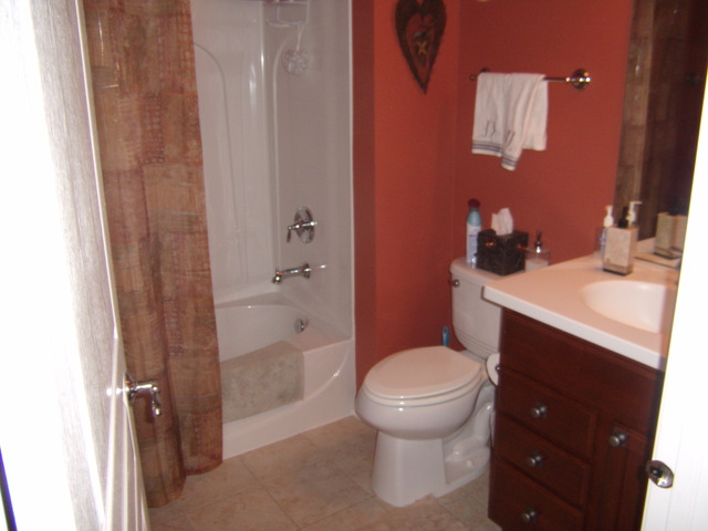 825 Rambling Brook Cir, Elgin, IL 60124 photo 20