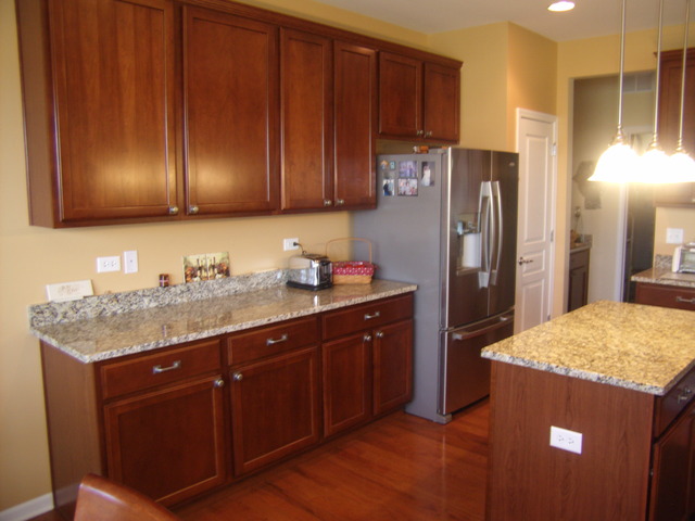 825 Rambling Brook Cir, Elgin, IL 60124 photo 8
