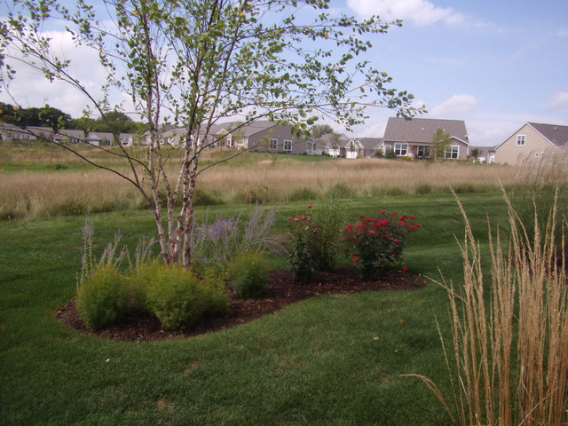 825 Rambling Brook Cir, Elgin, IL 60124 photo 22