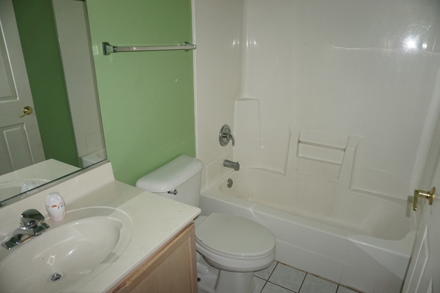 11605 S Decathalon Ln, Plainfield, IL 60585 photo 13