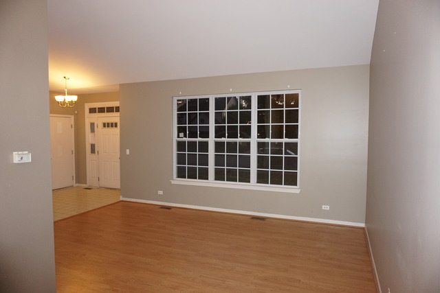 11605 S Decathalon Ln, Plainfield, IL 60585 photo 3