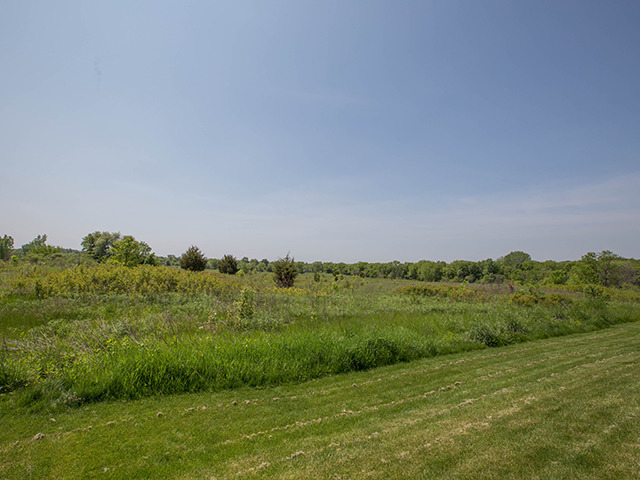 257 Windsor Dr, Bartlett, IL 60103 photo 4