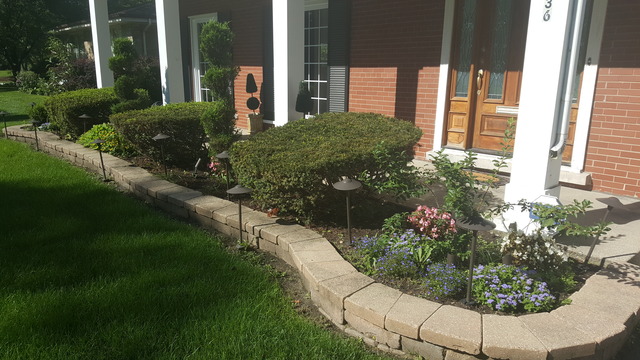 20336 Fairfield Ave, Olympia Fields, IL 60461 photo 2