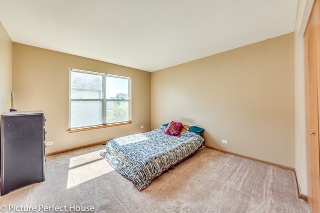 11651 S Derby Ln, Plainfield, IL 60585 photo 16